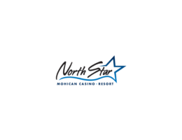 Обзор казино North Star